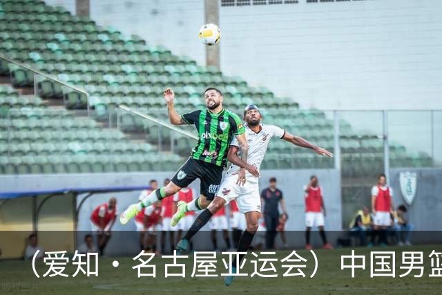 （爱知·名古屋亚运会）中国男篮无缘爱知·名古屋亚运会决赛